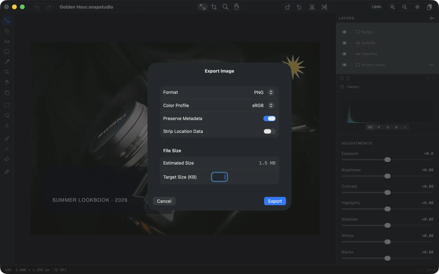 Multi-platform export presets in SnapStudio